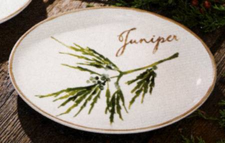Winter Greens Appetizer Plate
