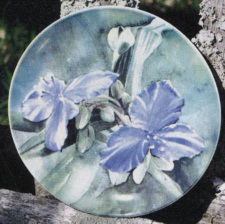 Floral Salad Plate