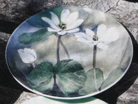 Floral Salad Plate