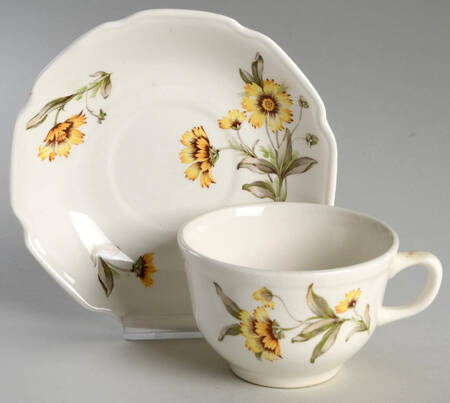 Indian Blanket Flat Cup & Saucer Set