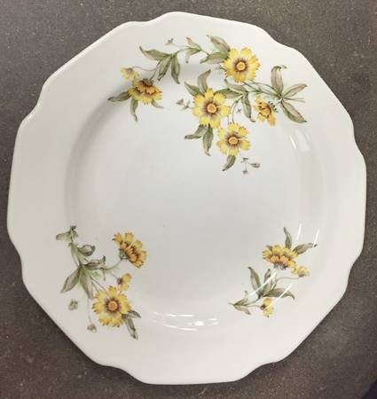 Indian Blanket Dinner Plate