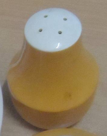 Dewdrop Salt Shaker