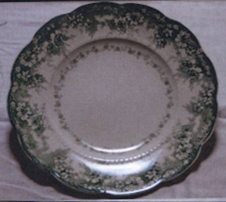 Springfield Green by Alfred Meakin