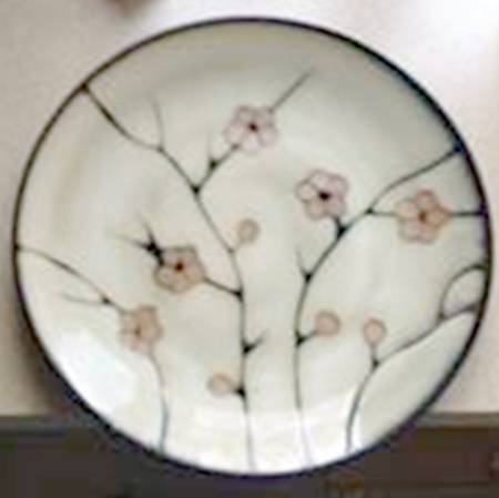 Pasha Tan Soup/Cereal Bowl