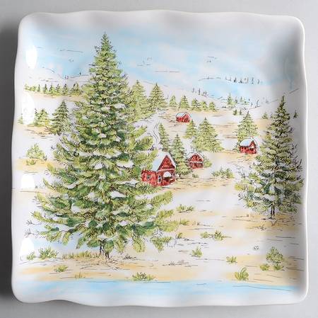 Snowville Square Dinner Plate