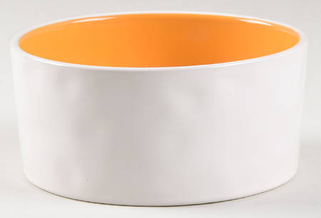 Farmhouse Dog Bowl