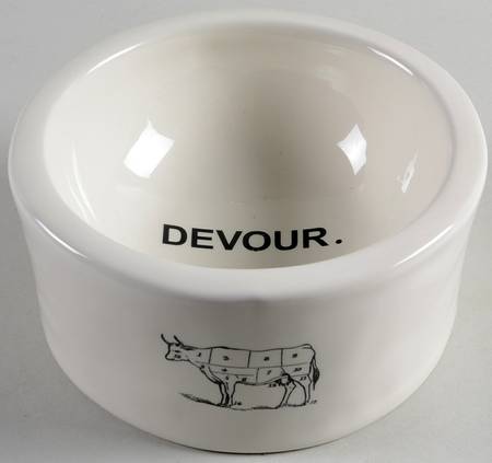 Rae Dunn Pet Products Dog Bowl