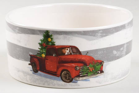 M2G22 Dog Bowl