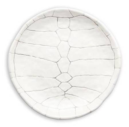 Tortoise Shell by Magenta