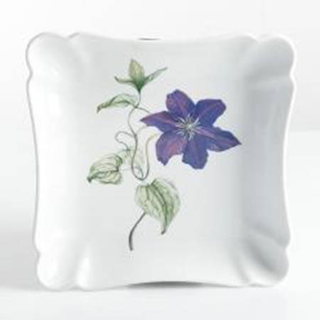 Skylands Botanic 8" Square Serving Platter