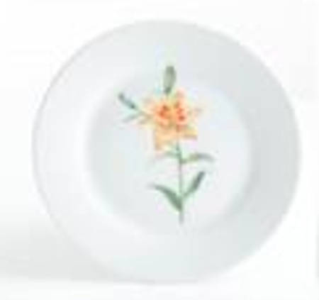 Skylands Botanic Salad/Dessert Plate