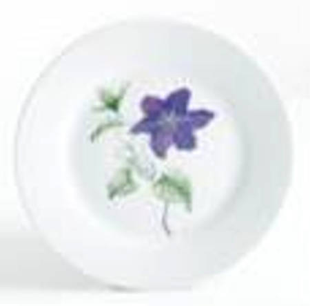 Skylands Botanic Salad/Dessert Plate