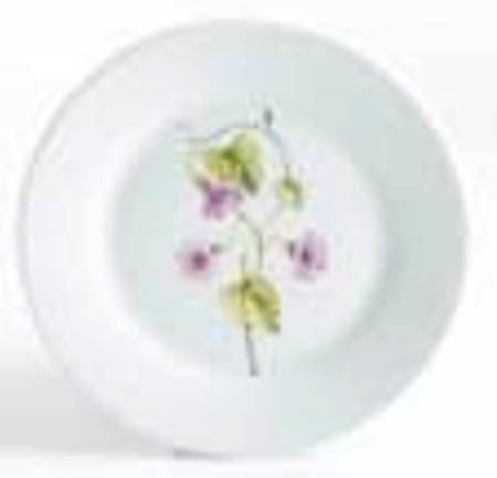 Skylands Botanic Salad/Dessert Plate