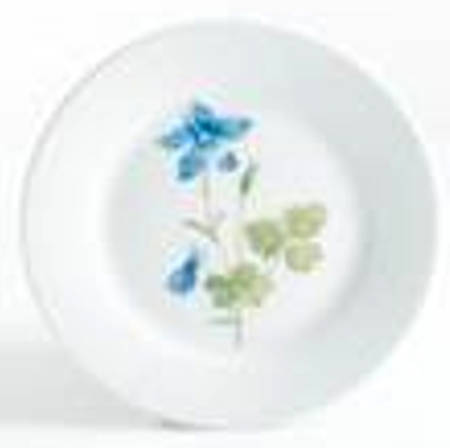 Skylands Botanic Salad/Dessert Plate