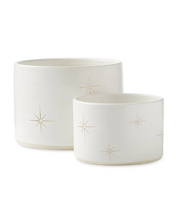 Palm Desert White Medium Planter