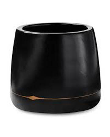 Palm Desert Black Short China Tumbler