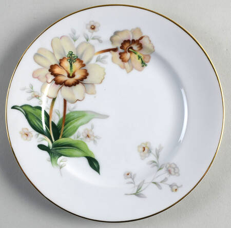 Wildwood (1 3-4" Rim, White) Salad Plate by Meito