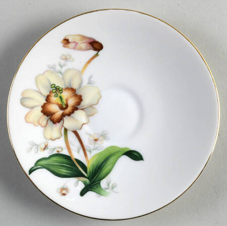 Wildwood (1 3-4" Rim, White) Saucer