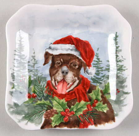 MXE77 Square Appetizer Plate