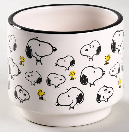 Peanuts Ramekin