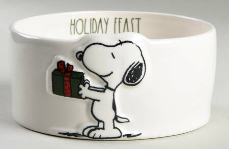 Peanuts Pet Bowl