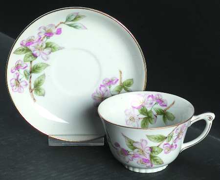 Mountain Cherry Footed Cup & Saucer Set