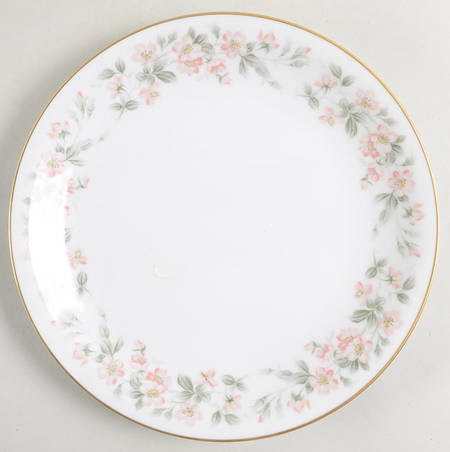 5415 Salad Plate
