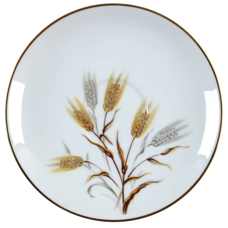 5566 Saucer