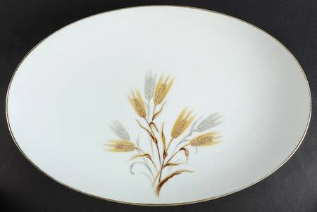 5566 16" Oval Serving Platter