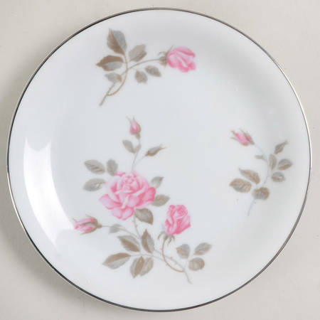 5573 Bread & Butter Plate
