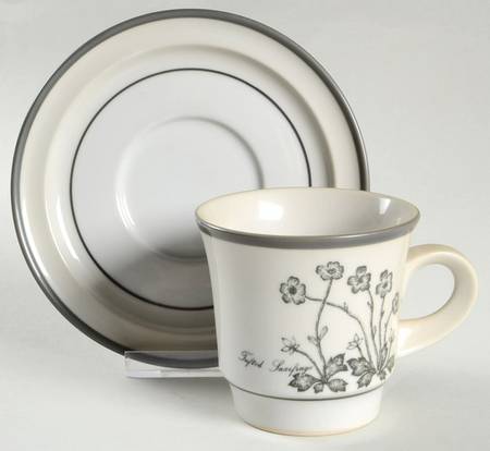 Alpine Flowers Flat Cup & Saucer Set