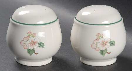 Apple Crisp Salt & Pepper Set