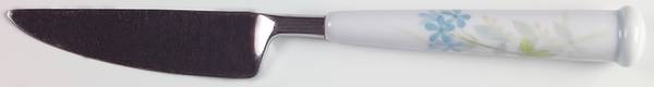 Bewitch Small Dinner Knife