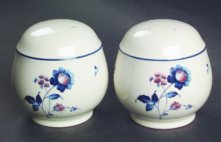 Blue Chintz Salt & Pepper Set