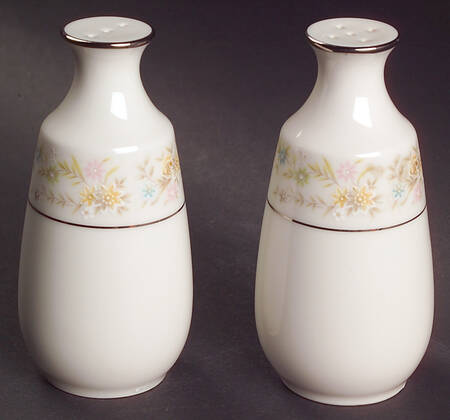 Blossom Time Salt & Pepper Set by Noritake