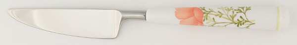 Bright Side Small Dinner Knife