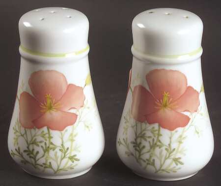 Bright Side Salt & Pepper Set