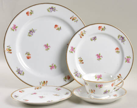 Chintz 5 Piece Place Setting