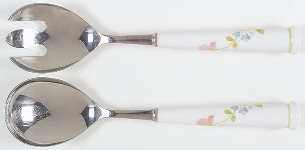Clear Day (2 Piece) Salad Set with Stainless Bowl
