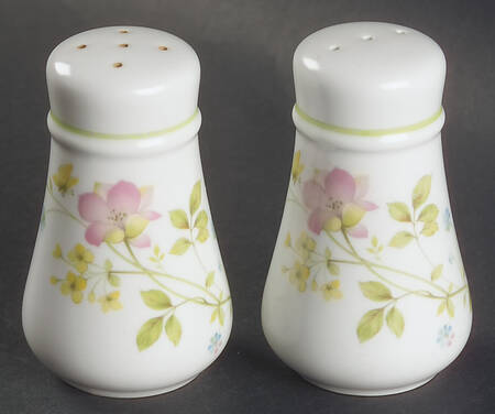 Clear Day Salt & Pepper Set