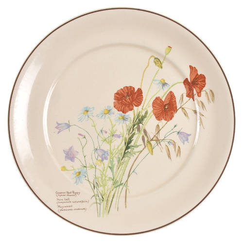 Country Diary Edwardian Lady Dinner Plate