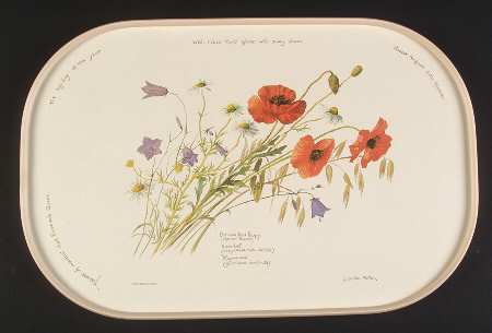 Country Diary Edwardian Lady 17" Oblong Melamine Tray