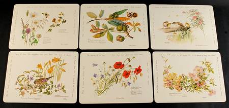 Country Diary Edwardian Lady Corkboard Placemat - Set of 6 Motif 6-11)