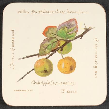 Country Diary Edwardian Lady Square Corkback Coaster