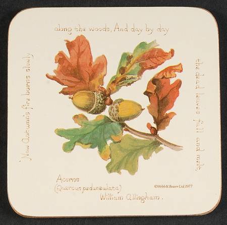 Country Diary Edwardian Lady Square Corkback Coaster