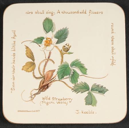 Country Diary Edwardian Lady Square Corkback Coaster