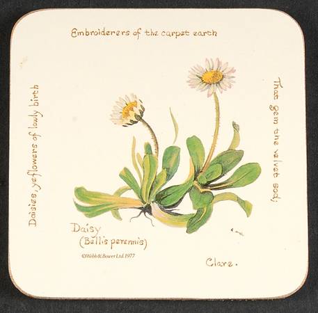 Country Diary Edwardian Lady Square Corkback Coaster