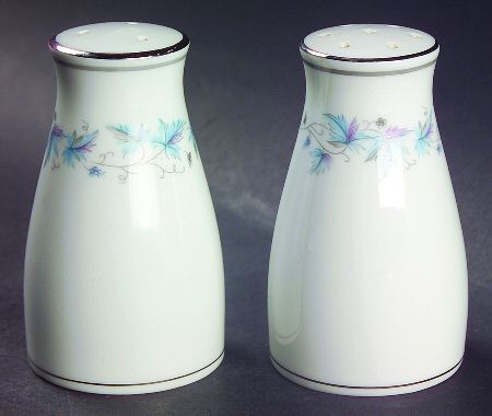 Concord (Platinum Trim) Salt & Pepper Set