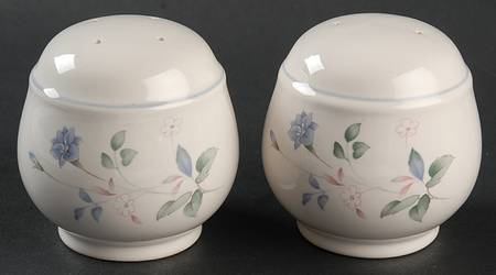 Cortland Salt & Pepper Set by Noritake