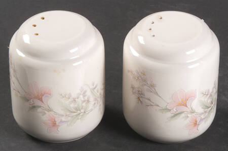 Deerfield Salt & Pepper Set